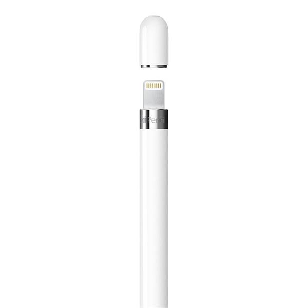 Apple Pencil (1st Generation) + USB-C adapter