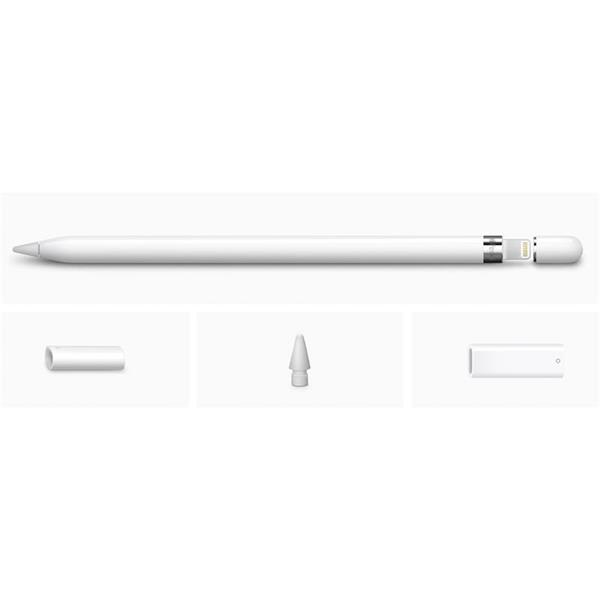 Apple Pencil (1st Generation) + USB-C adapter