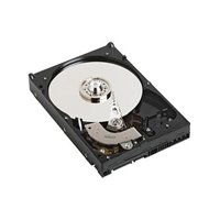 DELL 1TB 2.5 inch SATA (7,200 RPM) Hard Drive (Kit)