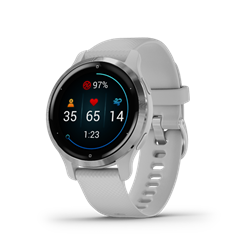 Garmin VENU 2S Silver/Mist Gray