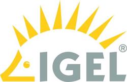 IGEL Workspace Edition License for IGEL OS 11 (including MMCP, HA, IMI, UMS and only available with IGEL Workspace Edi