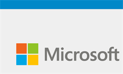 Microsoft Windows Server 2022 Remote Desktop Services - 1 User CAL (CSP perpetual)