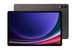 Samsung Tablet Galaxy Tab S9+ 12,4" X810 256GB Wifi, gray