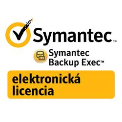 SYMC BACKUP EXEC 15 SMALL BUSINESS EDITION WIN PER SERVER BNDL STD LIC EXPRESS BAND S BASIC 12 MONTHS